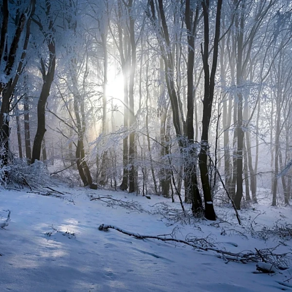 Sunrise Marks The Coldest Part Of The Day Nationwide