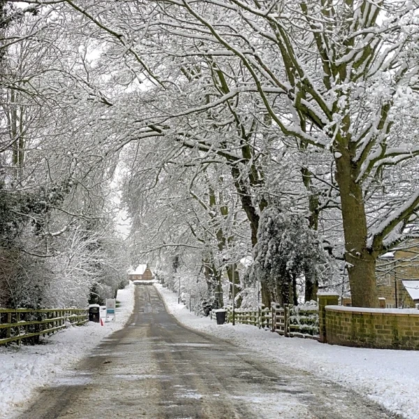 Great Lakes To New England Brace For Widespread Snowfall