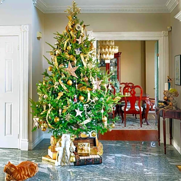 Real Christmas Trees Could Awaken 1000s of Hidden Bugs