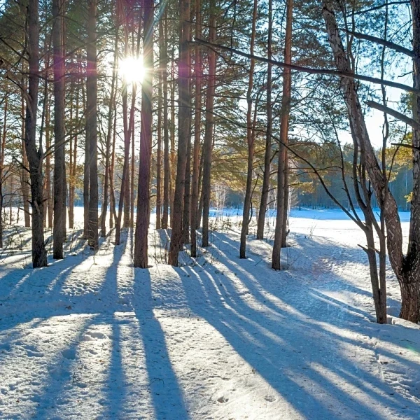 When Does The Winter Solstice Happen In 2025? Find Out