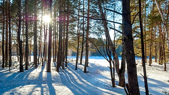 When Does The Winter Solstice Happen In 2025? Find Out