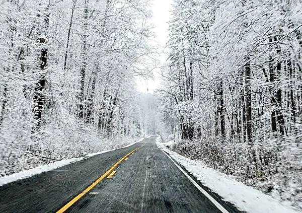 Scenic Winter Road Trips That Make the Long Way Worth Every Mile