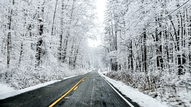 Scenic Winter Road Trips That Make the Long Way Worth Every Mile