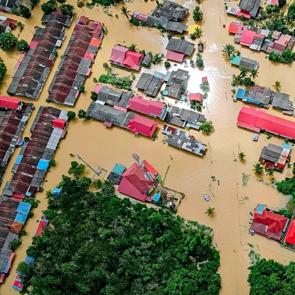 638 Confirmed Dead as Cyclone Ditwah Wreaks Havoc