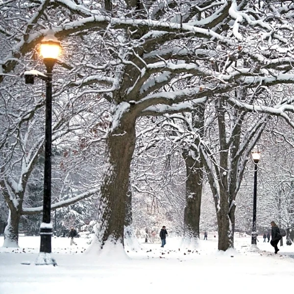 Intense Snow Band Spreads Fast Over the Northern U.S.