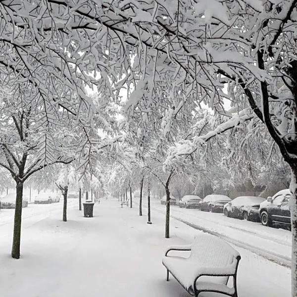 La Niña Pattern Fuels Another Burst of Winter Storms