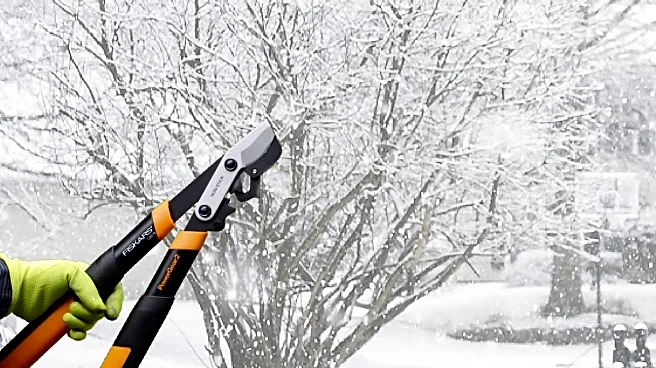 Winter Pruning Picks That Set Your Garden Up For A Strong Spring Start