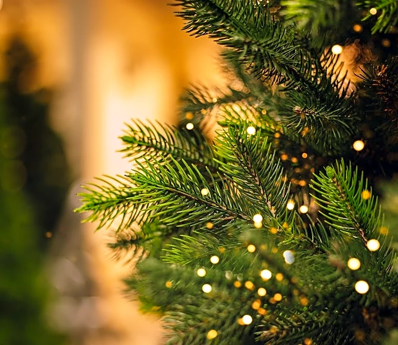 Should Christmas Trees Stay Plugged In Overnight? What Experts Advise