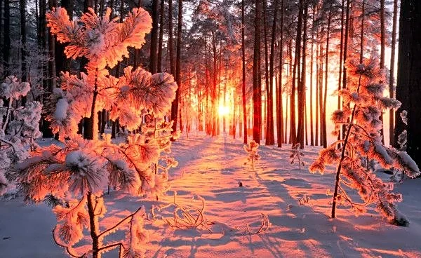 Central and Southern Plains Stay Above Average With 50s to Upper 60s