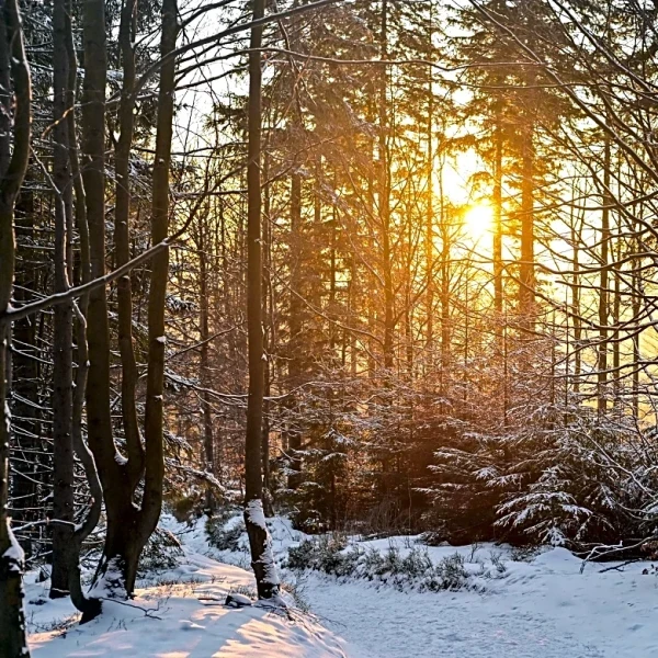 Desert Southwest Remains Warm With Highs in the 70s and Low 80s