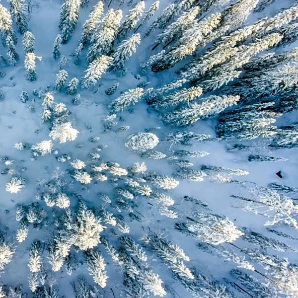 This Season’s Snow Map: Winter Wonderland Areas And Dry Spots