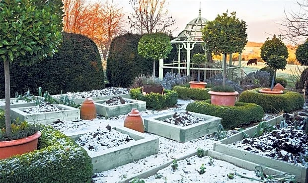 Prepare Winter Garden Beds With This Compost Free Method