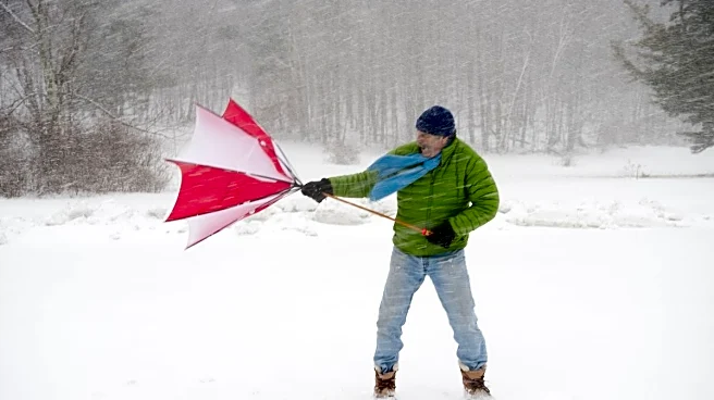 Bitter Arctic Air Descends On Southeast U.S., Snow Possible