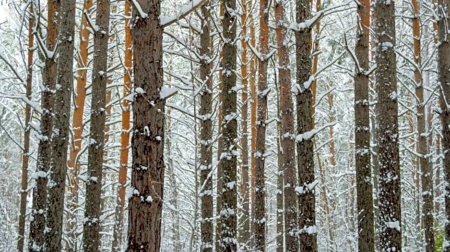 Arctic Blast Grips The North As Deep Cold Lingers Into Next Week