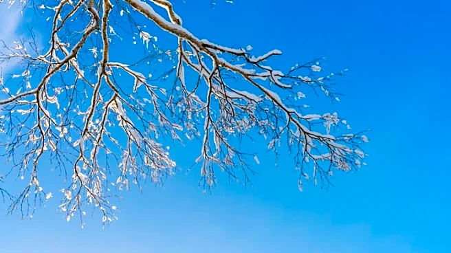 Central U.S. Braces for Frigid Surge and Weekend Snow