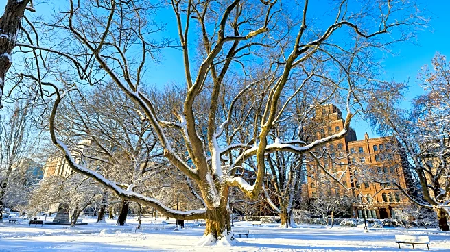 Snow Alert: First Flakes May Hit NYC And Philly This Weekend