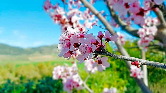 California’s Central Valley Turns Cooler Despite Warm Pattern Nearby
