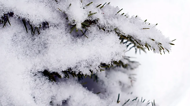 Snow Band Sweeps From Northern Plains Into Ohio Valley Today