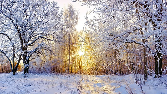 Next Week Brings More Winter Swings And Regional Contrasts