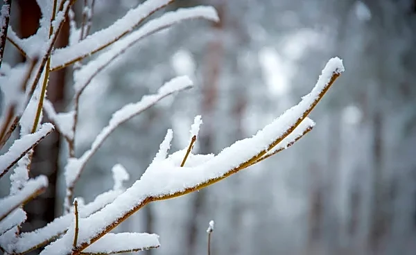 Record-Challenging Cold Settles Across The Ohio Valley Today
