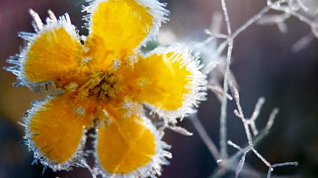 Next Week Brings Deep Freeze To East, South, And Midwest