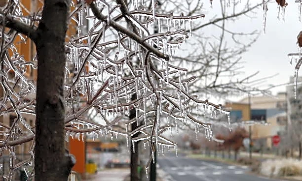 Freezing Rain Can Turn Roads And Sidewalks Into Hazards
