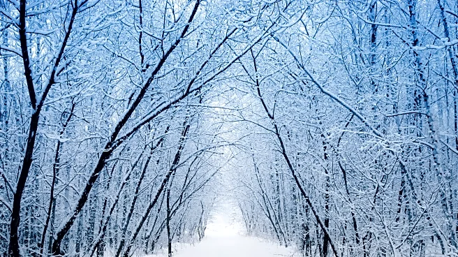 Monday to Feels Like the Coldest Day of the Year in Northeast