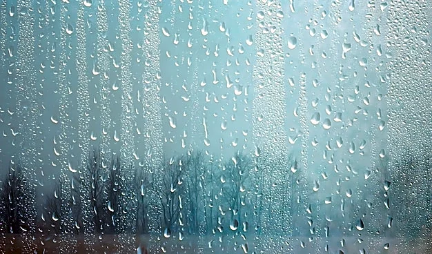 Pacific States Brace For More Rain From Atmospheric Rivers