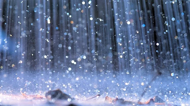 Pineapple Express Returns: Northwest Faces Flood, Blizzard, Wind Risks