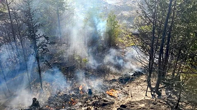 Strong Friday Winds Could Trigger Severe Fire Conditions In Colorado