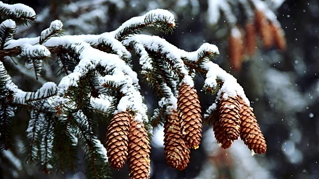 A Look At Snow Potential Nationwide Ahead Of Christmas