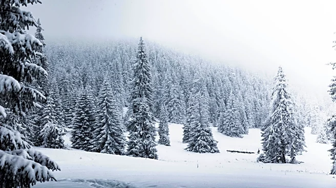 La Niña’s Grip Could Weaken Sooner Than Forecast Next Year