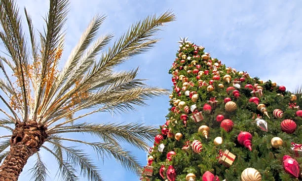 Holiday Travel Week At Risk As Heavy Rain Targets California