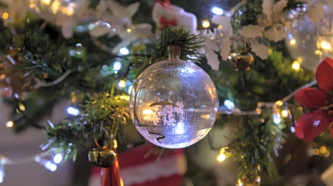 Winter Officially Begins: Shortest Day of 2025