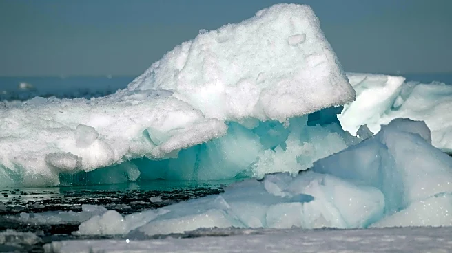 Rare Snow Rollers Cover Michigan Yard After Storm