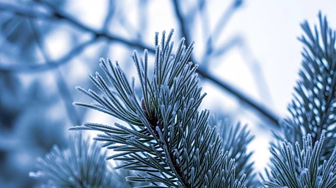 Northeast Braces for Snow and Ice Following Christmas