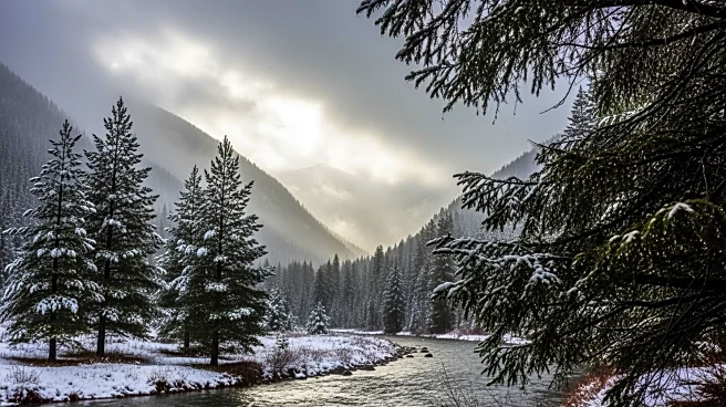 Northern California Braces for Continued Rain and Snow