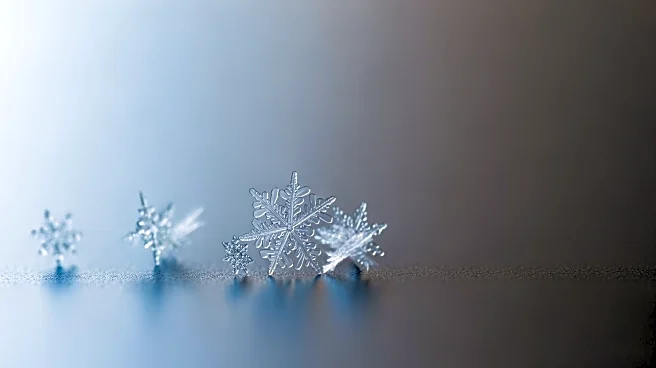 Snowstorm to Hit NYC and NJ: Up to 8 Inches Expected