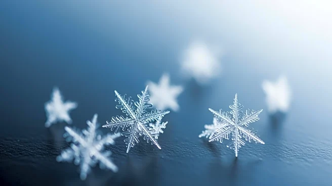 Winter Storm Warning for New York City: Significant Snowfall Expected