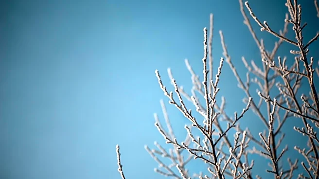 Winter Weather Advisory for St. Joseph County, MI and LaGrange County, IN