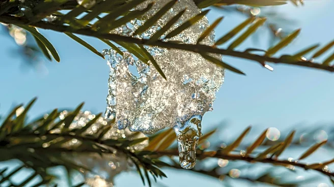 Phoenix Weather Forecast: Clear Skies and Mild Temperatures Expected