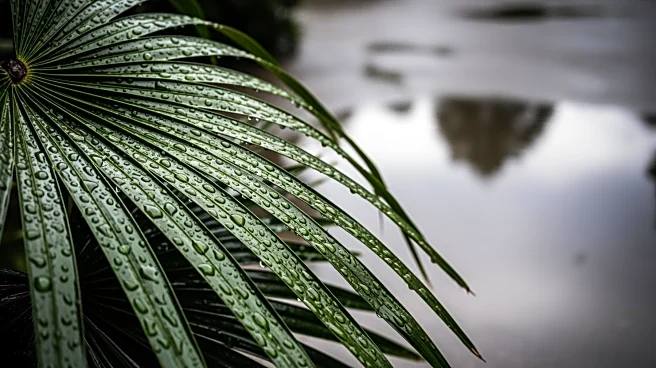 Palm Beach Faces Heavy Rain and Flooding Risk