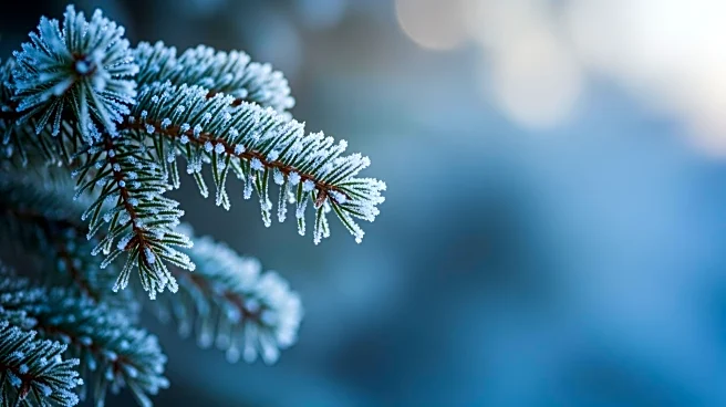 Winter Weather Mix Continues in Philadelphia Area