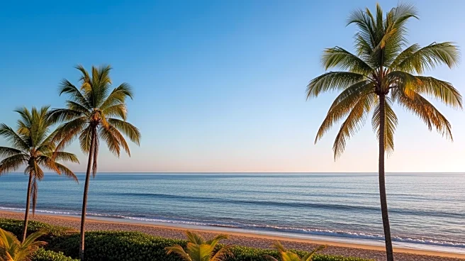 South Florida Weather: Clear Skies and Warm Temperatures Expected