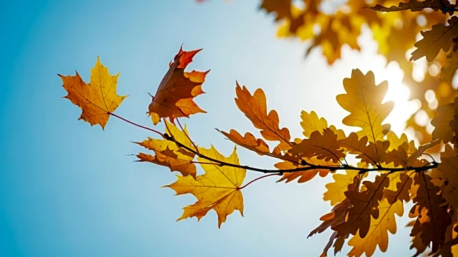 Wind Advisory in Washington D.C. as Gusts Chill Despite Sunshine