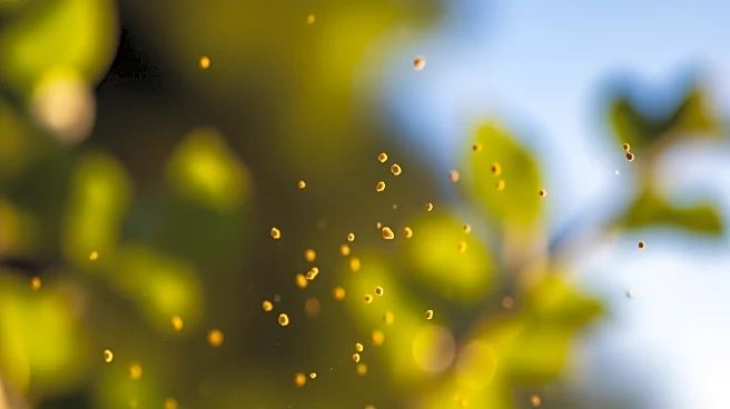 Philadelphia Faces Extended Allergy Season Due to Rising Pollen Levels