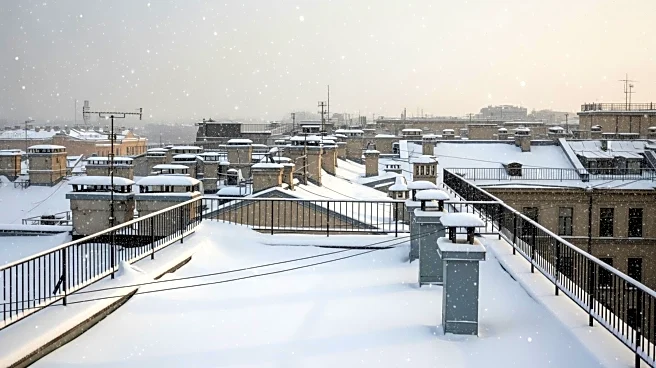 New York City Experiences First Major Snowfall Since 2022