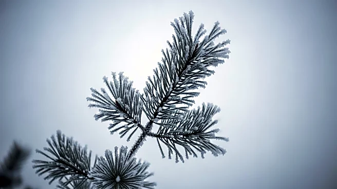 Cold Snap Hits Michigan's Upper Peninsula with Frigid Temperatures