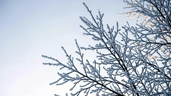 Frigid Temperatures Hit NYC Area on Saturday