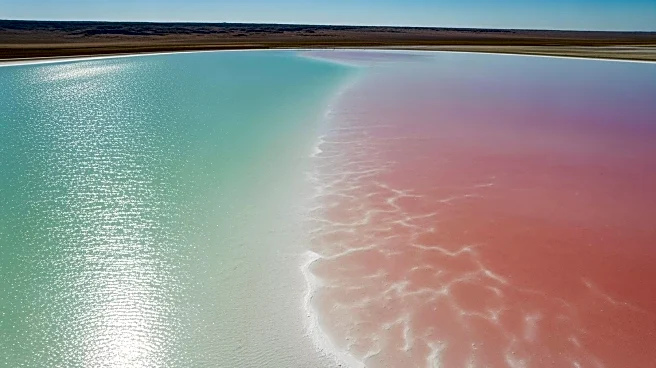 Lake Eyre Transforms into Two Colors Due to Flooding